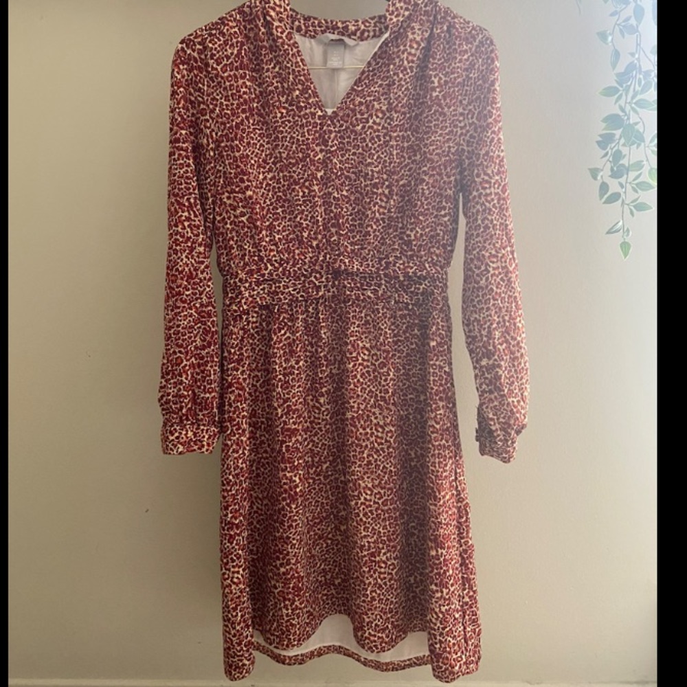 Fall favorites H&M long sleeve dress
